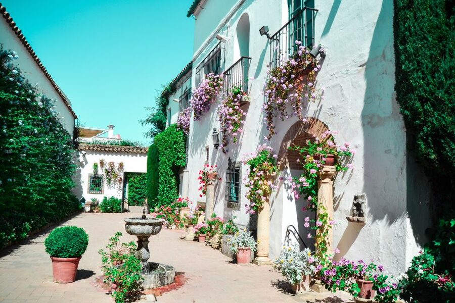 Cordoba: Patios and Viana Palace Tour - Key points at a glance