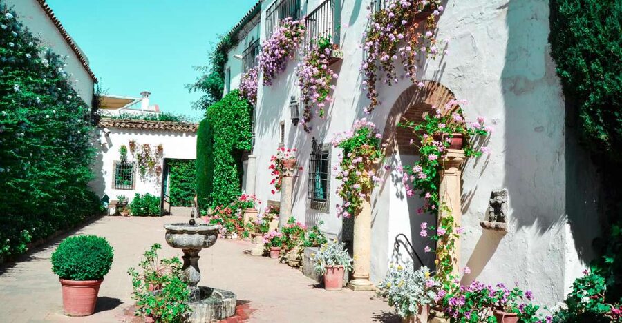 Cordoba: Patios and Viana Palace Tour - Walking through all 12 patios