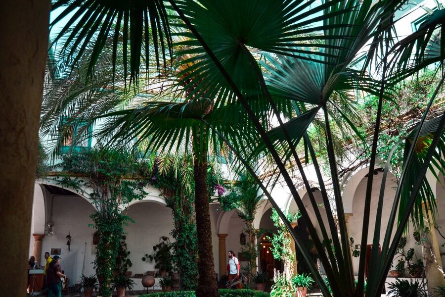 Cordoba: Patios and Viana Palace Tour - Entering the palace after the gardens