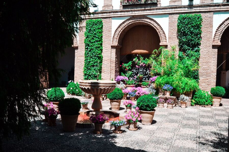Cordoba: Patios and Viana Palace Tour - Is $40 a fair price?