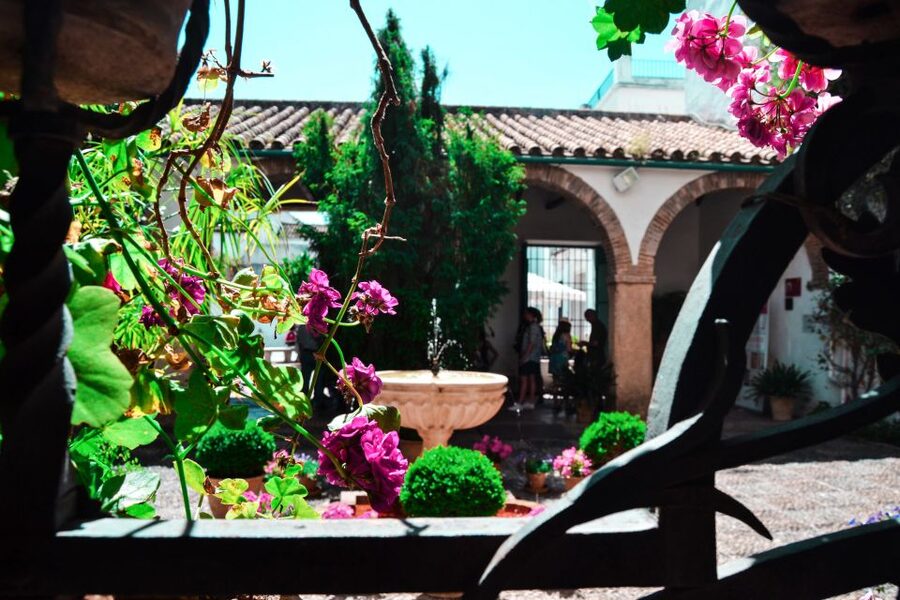 Cordoba: Patios and Viana Palace Tour - Meeting at Plaza de Don Gome