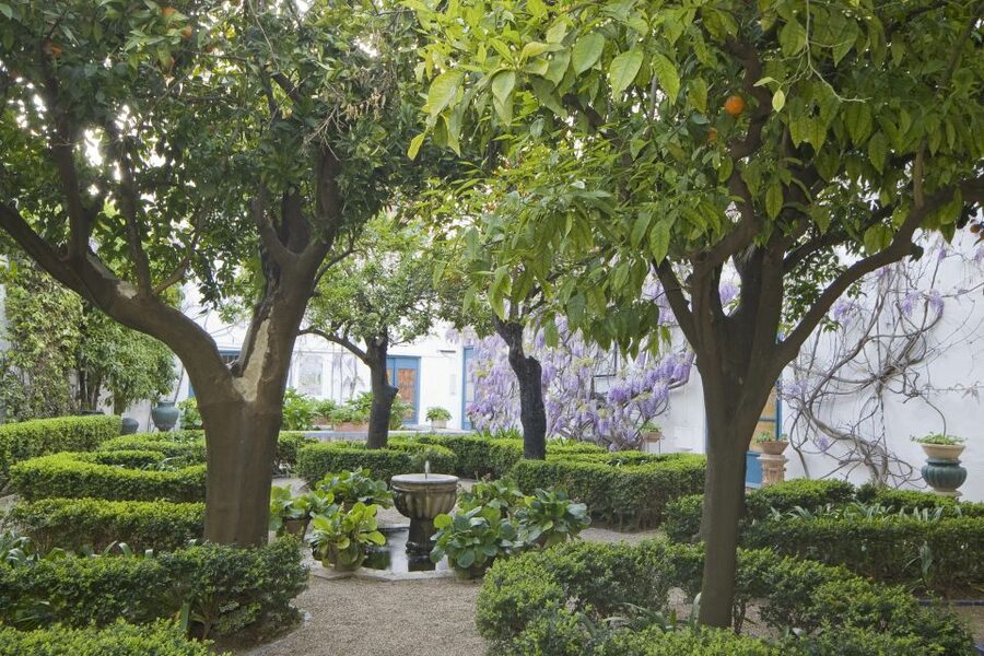 Córdoba: Viana Palace Gardens and Patios Entry Ticket - Key things to know before visiting