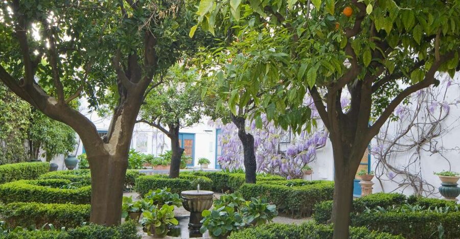 Córdoba: Viana Palace Gardens and Patios Entry Ticket - Patio by patio, how the visit unfolds