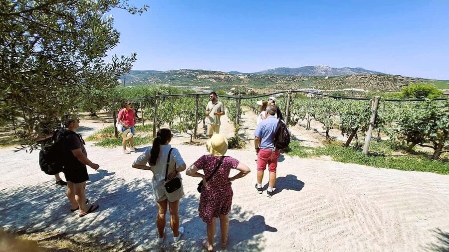 Crete: Knossos Palace, Winery & Olive Oil Tour with Lunch - Key points at a glance