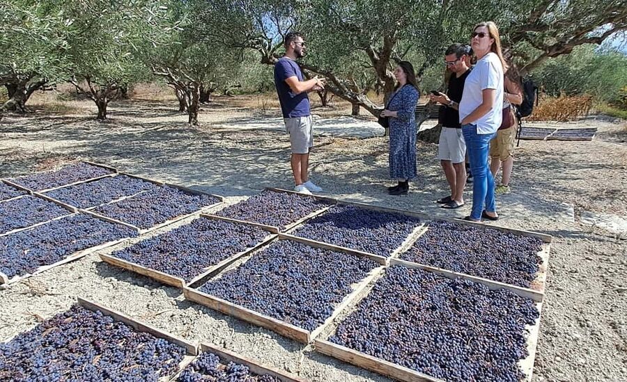 Crete: Knossos Palace, Winery & Olive Oil Tour with Lunch - Lunch at a traditional village taverna