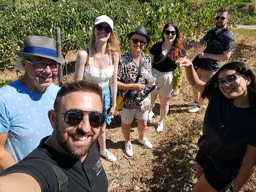 Crete: Knossos Palace, Winery & Olive Oil Tour with Lunch - Is the $123 price good value?