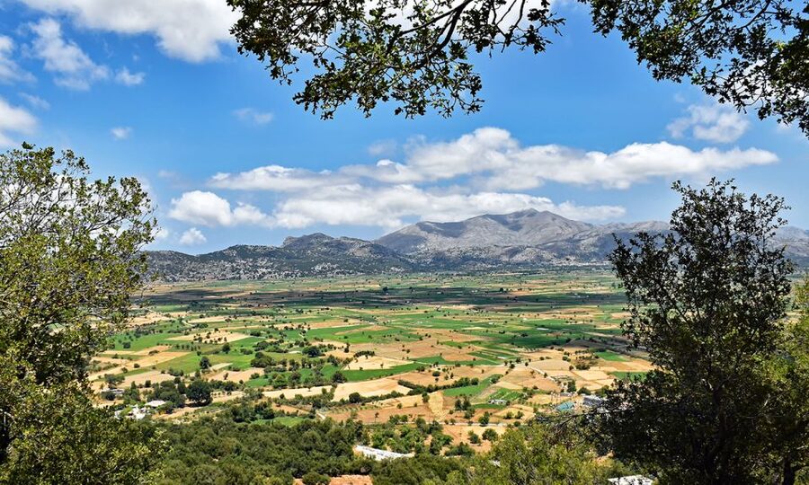 Crete: Lasithi Plateau & Knossos Palace Day Trip - Lunch at a traditional taverna near Seli