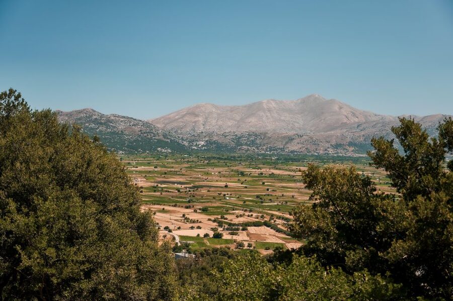 Crete: Lasithi Plateau & Knossos Palace Tour - Knossos Palace: why the final stop matters