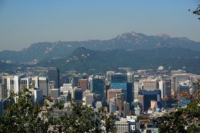 Customized Private Seoul tour: Palace, Market etc(Airport Option) - What $184 per person really buys