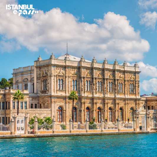 Dolmabahce Palace & Harem Skip-the-Line Entry & Audio Guide - Getting There and Finding the Entrance
