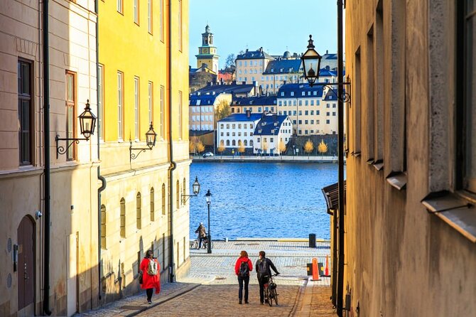 Drottningholm Palace Private Guided Tour - Timing, accessibility, and cancellation details