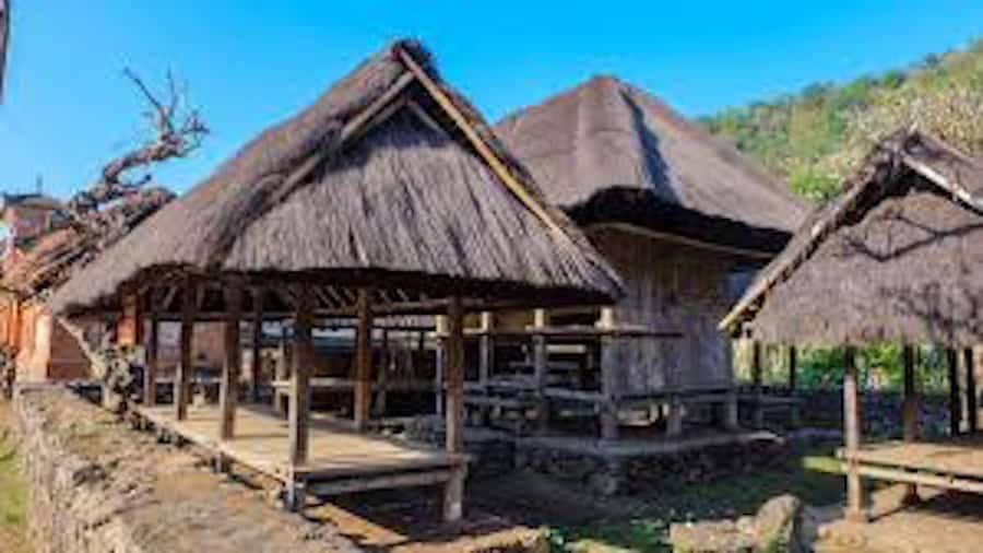East Bali: Lempuyang Gates, Tenganan, & Water Palaces Tour - Tenganan village and the Aga people