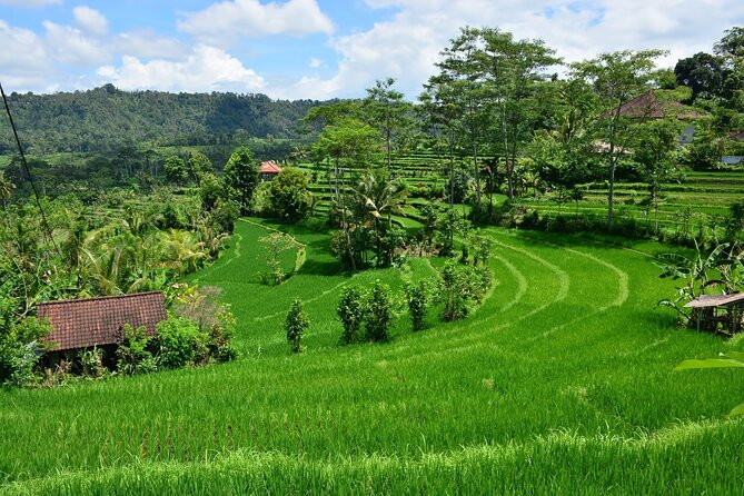 East Bali Tour: Gate of Heaven, Water Palace, Sleeping Gajah - Sidemen, Mount Agung views, and a thoughtful lunch break