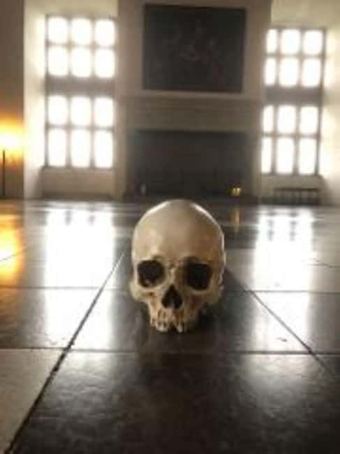 Easy Pace Tour of Kronborg Castle and Frederiksborg Palace - Why this North Zealand day trip works