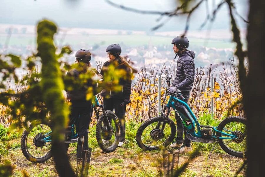 Electric scooter getaway and tasting at Château de Chamirey - Key points at a glance