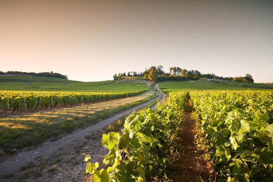 Electric scooter getaway and tasting at Château de Chamirey - What the ride feels like in practice