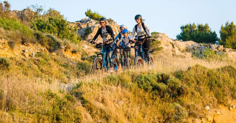 Electric Scooter Tour of Château l'Hospitalet estate - One hour through vines, pine forest, and scrubland