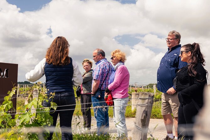 Essential Wine Tour with Tasting & Chateau Visits from Bordeaux - Choosing between Pessac-Léognan and the Médoc