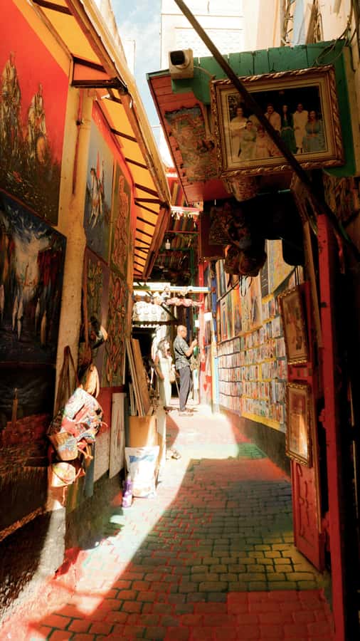 Fes: Royal Palace, Madrasa, Tannery & Souks and Medina Tour - Chouara Tanneries: unforgettable, fragrant, and commercial