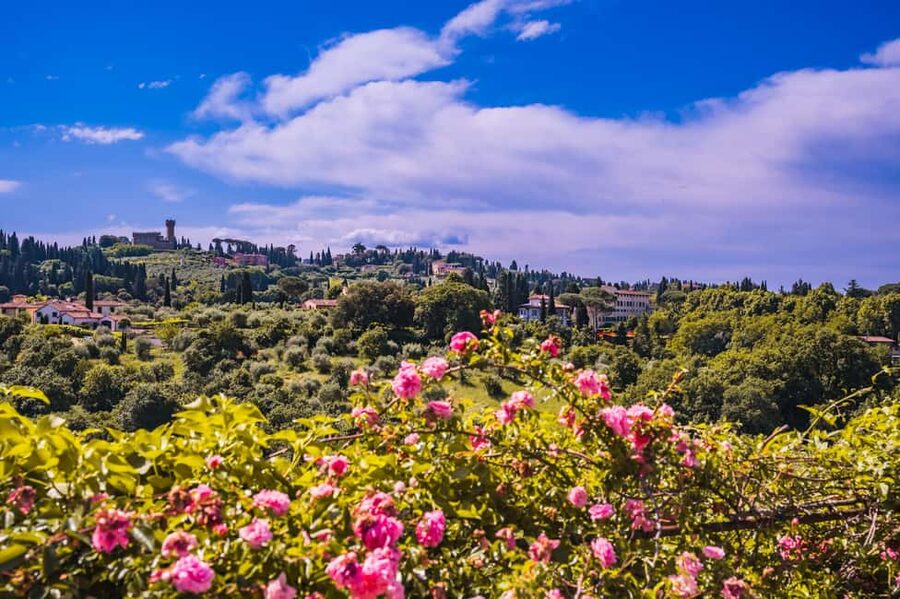 Florence: Pitti Palace and Boboli Gardens Guided Tour - Pitti Palace and the Medici takeover