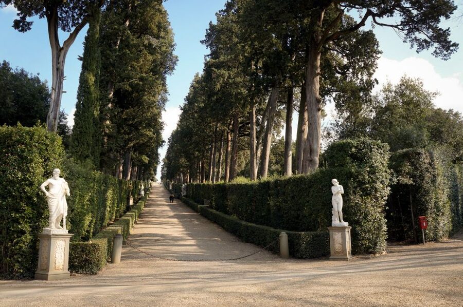 Florence: Pitti Palace Entry Ticket and Guided Walking Tour - Is $82 per person good value?