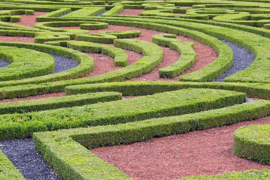 Fontainebleau & Vaux-le-Vicomte Châteaux Day Tour from Paris - Is $123 a good value?