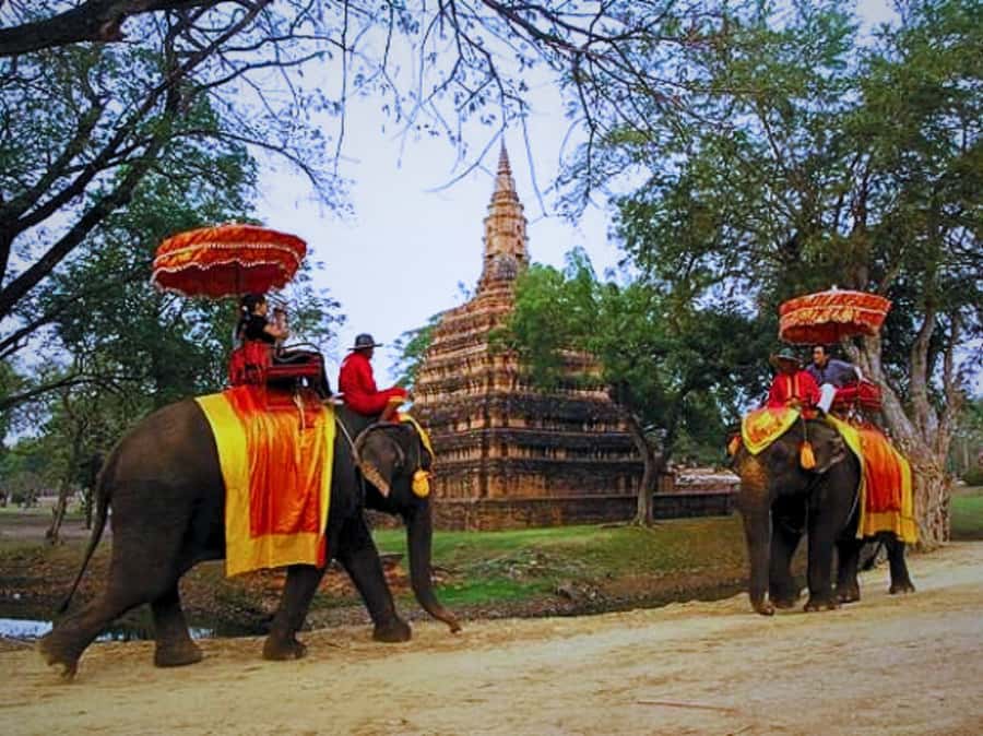 From Bangkok: Ayutthaya Tour, Elephant Palace & Royal Kraal - Why a private Ayutthaya day trip works