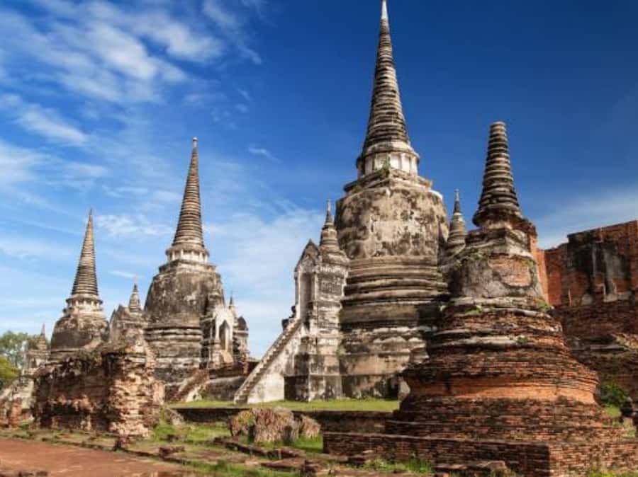 From Bangkok: Ayutthaya Tour, Elephant Palace & Royal Kraal - A closer look at the driver and vehicle