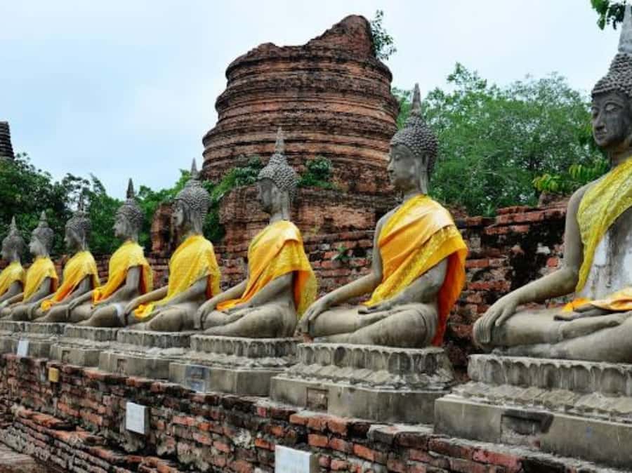 From Bangkok: Ayutthaya Tour, Elephant Palace & Royal Kraal - Wat Yai Chai Mongkhon and the first glimpse of old Ayutthaya