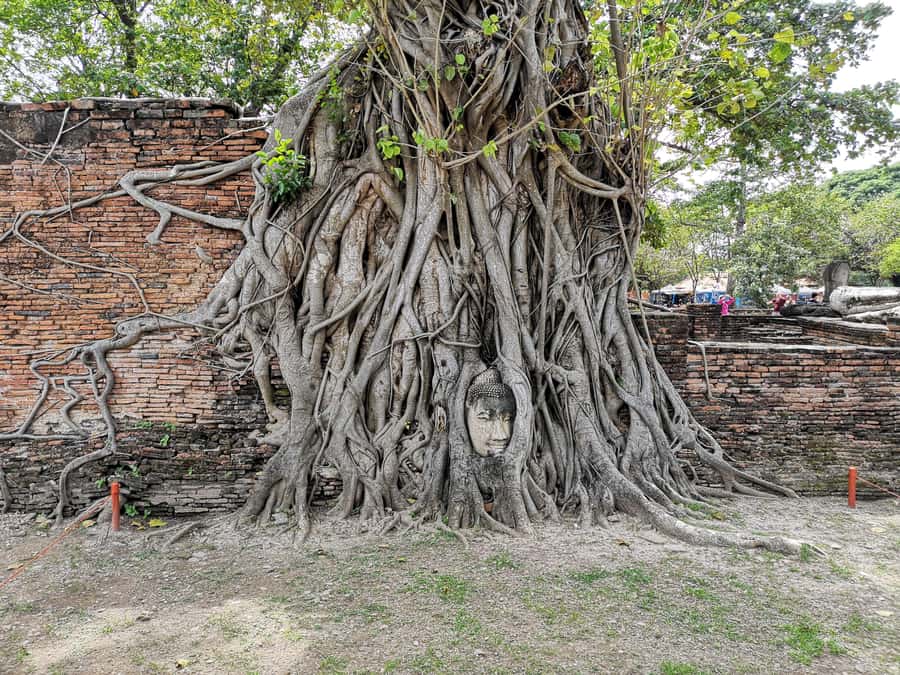 From Bangkok: Private Tour to Ayutthaya & Summer Palace - Why Ayutthaya works so well as a day trip from Bangkok