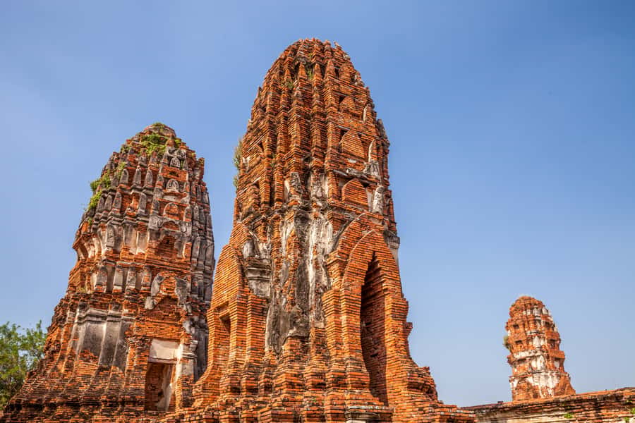 From Bangkok: Private Tour to Ayutthaya & Summer Palace - Wat Lokayasutharam and its reclining Buddha