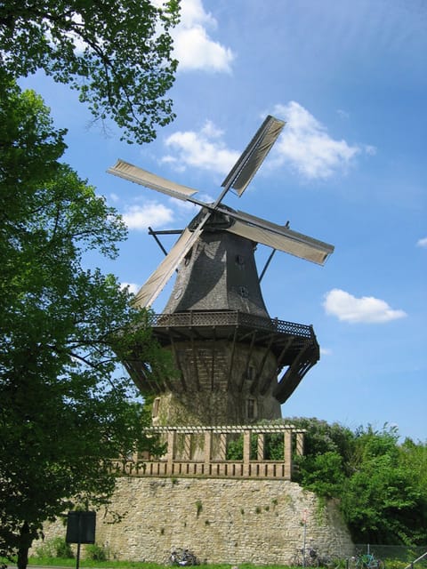 From Berlin: Gardens & Palaces of Potsdam Bike Tour - Why a bike is the right way to see Potsdam