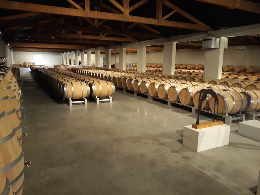 From Bordeaux: Médoc Vineyard and Chateau Tour by Sidecar - Inside a Médoc chateau