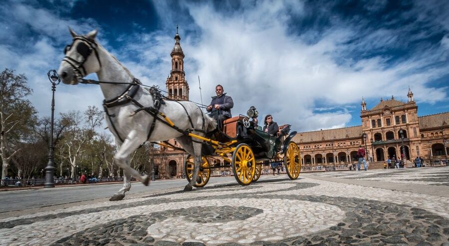 From Costa del Sol: Seville and Royal Alcázar Palace - The long road from the Costa del Sol