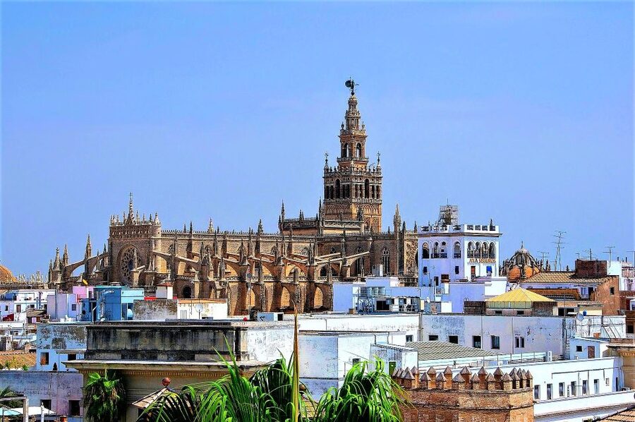 From Costa del Sol: Seville and Royal Alcázar Palace - Who should book this Seville day trip?