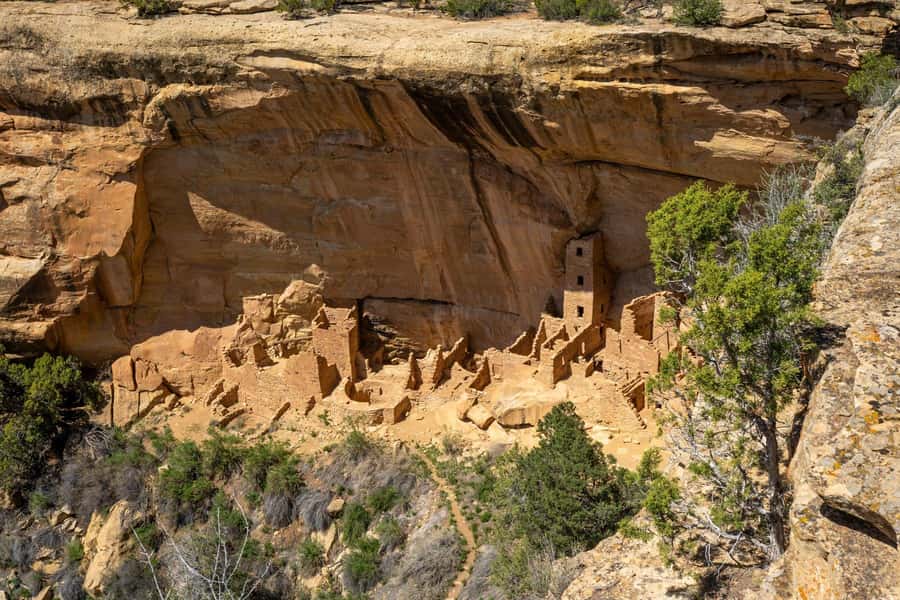 From Durango: Mesa Verde Express Tour & Cliff Palace Ticket - What the guide adds to the park visit
