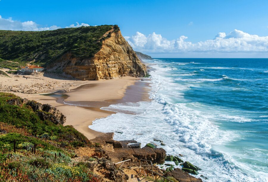 From Lisbon: Mafra Palace and Ericeira - Heritage and the Portuguese Coast - Starting near Praça Marquês de Pombal