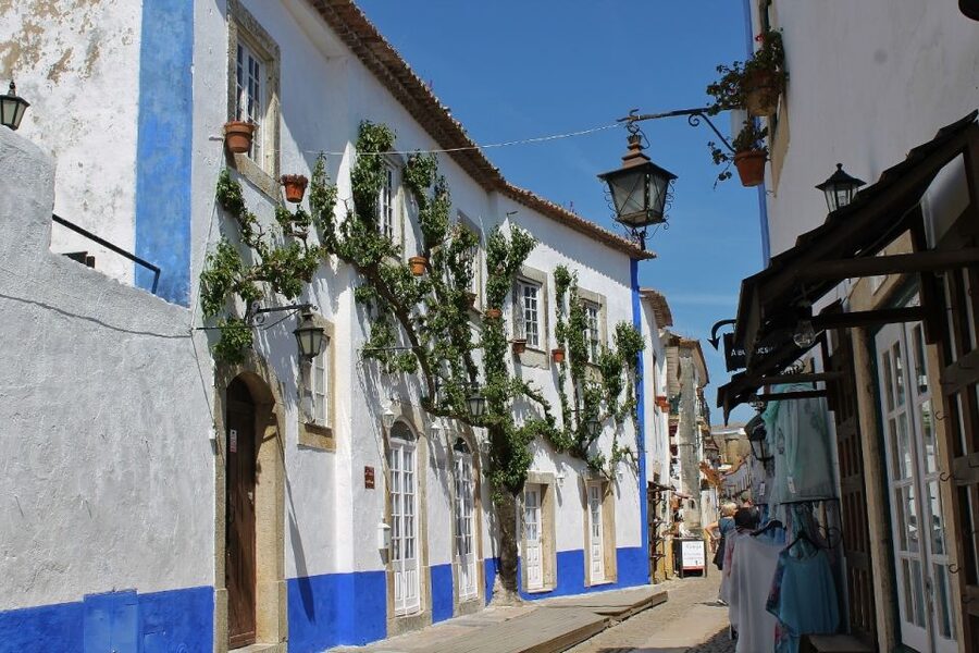 From Lisbon: Óbidos and Mafra Palace Private Tour - Why this six-hour pairing works