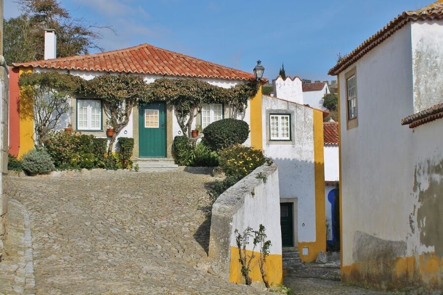 From Lisbon: Óbidos and Mafra Palace Private Tour - The Mafra closure issue matters