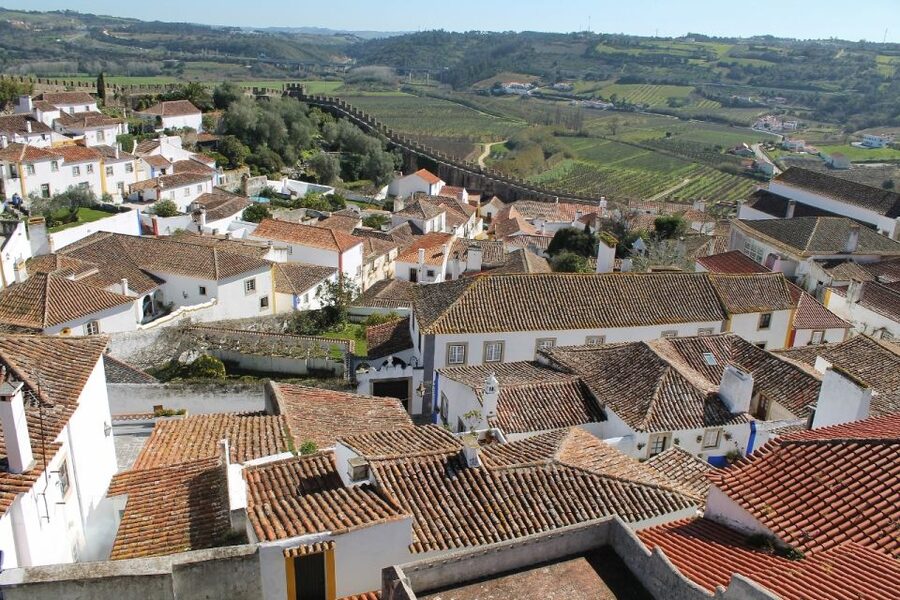 From Lisbon: Óbidos and Mafra Palace Private Tour - Lunch and the shape of the day
