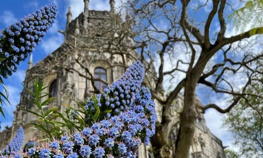 From Lisbon: Sintra, Pena Palace and Regaleira Day Trip - Pena Palace from the outside