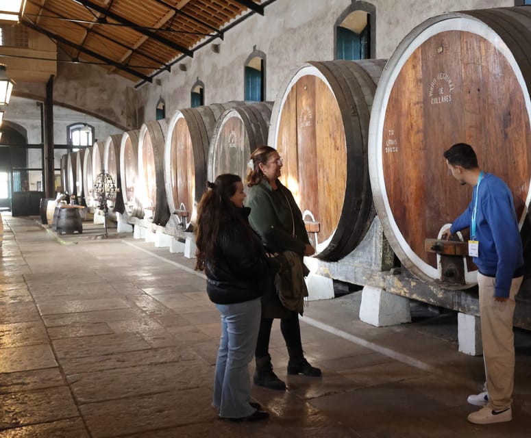 From Lisbon: Sintra, Pena Palace, Cascais and Wine Tasting - Key points to know before booking