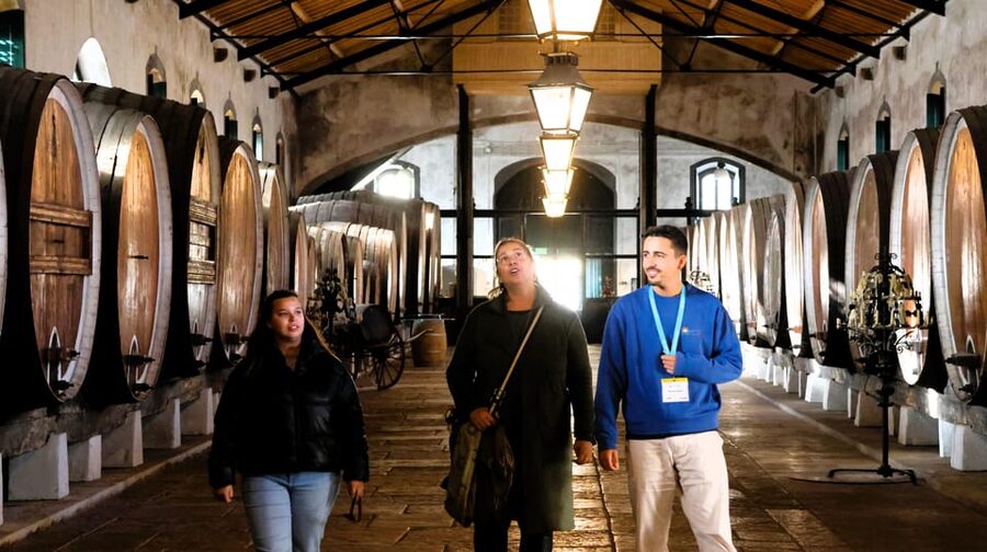 From Lisbon: Sintra, Pena Palace, Cascais and Wine Tasting - Why this day trip works from Lisbon