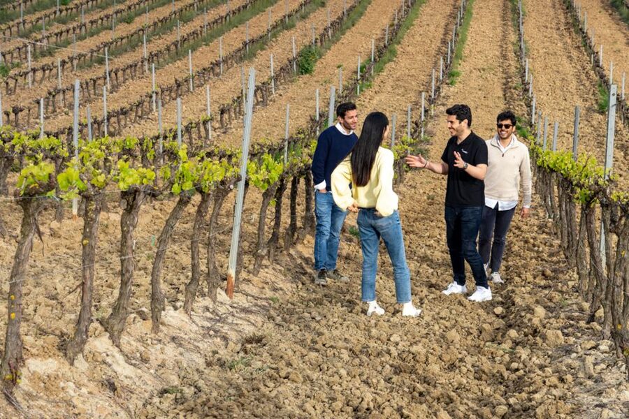 From Lisbon: Sintra & Pena Palace Day Trip with Wine Tasting - Pena Palace and the romantic hills of Sintra