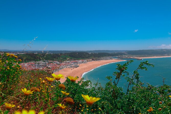 From Lisbon: Small Group to Pena Palace, Nazaré & Fátima - Pena Palace: romantic color above Sintra