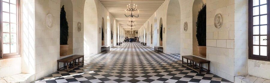 From Tours/Amboise: Chenonceau & Chambord Chateaux Day Trip - Chambord and the problem of too much château