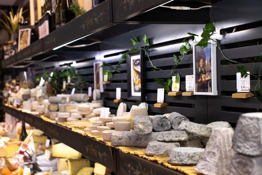 Full-Day Bordeaux gourmet tour & 2 chateau Medoc - Key points to know before booking