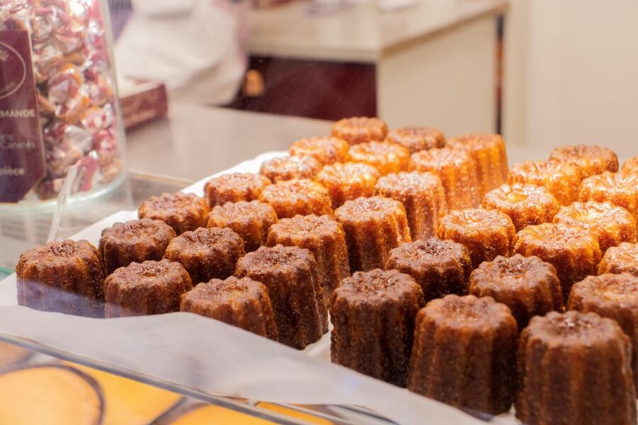 Full-Day Bordeaux gourmet tour & 2 chateau Medoc - One hour for lunch in Bordeaux