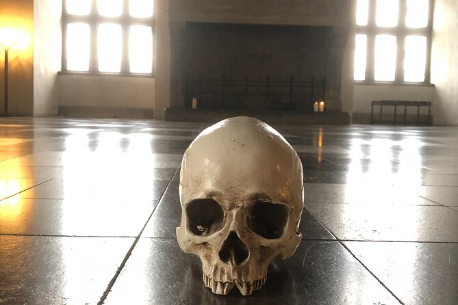 Full-Day; Castle, Palace, Cathedral & Viking ships Tour - Kronborg Castle and the story behind Hamlet