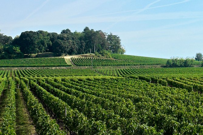 Full-day Saint-Emilion: Village, Undergrounds and Châteaux - Below the streets: Saint-Émilion’s underground monuments